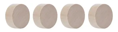magnetoplan Aimant néodyme Circle Wood Series, bouleau