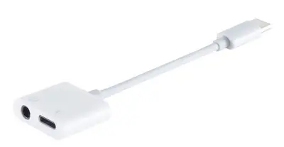shiverpeaks Adaptateur BASIC-S, USB-C - jack 3.5 + USB-C