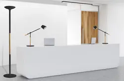 Miniature 4