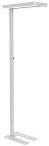 MAUL Lampadaire à LED MAULjuvis, dimmable, socle, blanc
