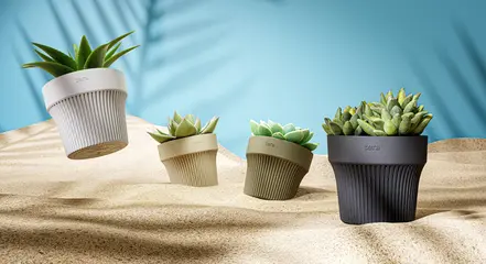 Miniature 4