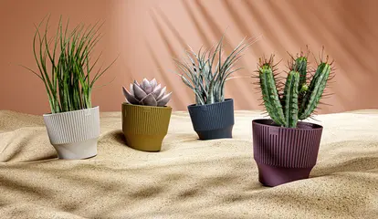 Miniature 4