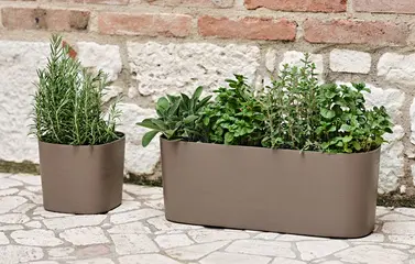 Miniature 6