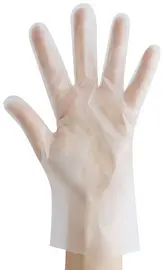 HYGOSTAR Gant TPE ALLFOOD THERMOSOFT, L, transparent