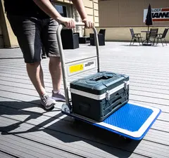 BRÜDER MANNESMANN Chariot à plate-forme, charge max: 150 kg