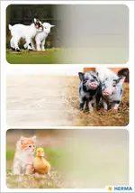 HERMA Étiquette pour livre "Animaux de la ferme