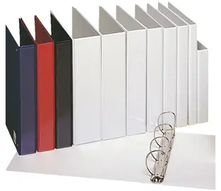 Esselte Classeur à anneaux personnalisable Essentials, A4,