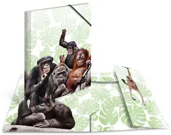 HERMA Chemise à élastiques Animaux exotiques, A3, singes