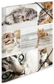 HERMA Chemise à élastiques "chats", carton, A3