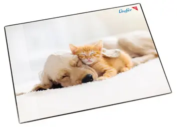 Läufer Sous-main Chien et chat, 400 x 530 mm