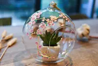 Miniature 11