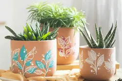 Miniature 4