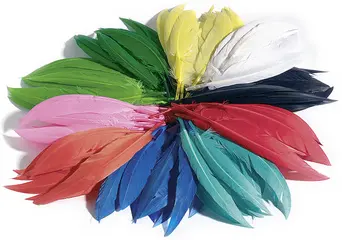 folia Plumes d'indiens, 10 g, assorti