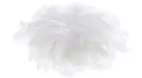 folia Plumes soyeuses, 100 g, blanc