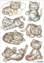 HERMA Autocollants DECOR "Drôle de chaton