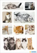 HERMA Autocollants DECOR "Chatons