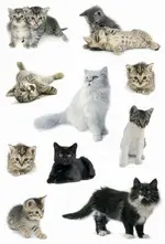 Miniature 4
