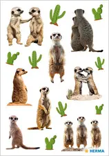 HERMA Sticker MAGIC Suricates, papier