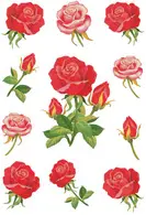 HERMA Sticker DECOR "Bouquets de roses