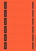 LEITZ Etiquette pour dos de classeur, 39 x 192 mm, rouge
