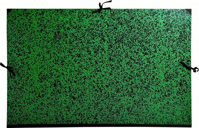 EXACOMPTA Carton à dessin Annonay, 640 x 760 mm, vert