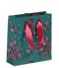 Clairefontaine Sac cadeau de Noël "Velvet", mini