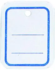 APLI Etiquette à suspendre, 39 x 55 mm, perforé, ligné