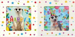 SUSY CARD 3D-Geburtstagskarte Sliding card "Erdmännchen