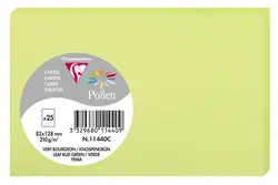 Pollen by Clairefontaine Carte 82 x 128 mm, vert bourgeon