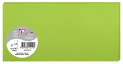 Pollen by Clairefontaine Carte DL, vert menthe