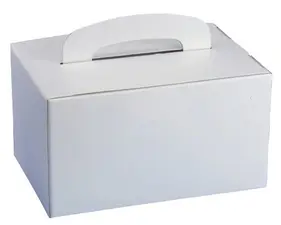 PAPSTAR Boîte à déjeuner, avec un grip de préhension