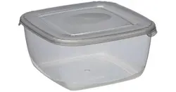 plast team Boîte de congélation Polar, 0,46 litre, gris