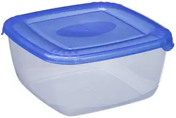 plast team Boîte de congélation Polar, 2,5 litres, bleu