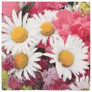PAPSTAR Serviette à motif "Marguerite", 330 x 330 mm