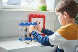 Miniature 5