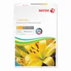 Miniature 7