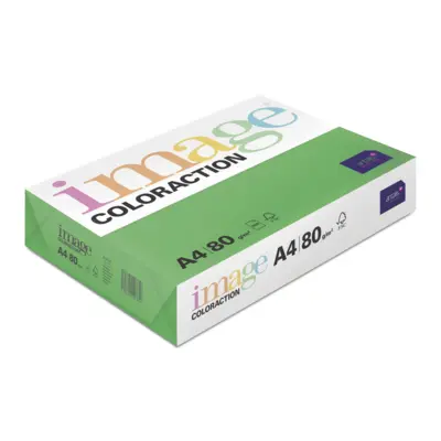 Papier Couleur A4 80 g/m² Dublin/Chlorophylle Image Coloraction