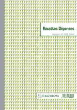 EXACOMPTA Manifold "Recettes et Dépenses", 297 x 210 mm