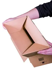 Miniature 1