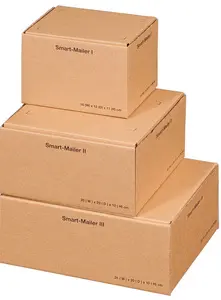 smartboxpro Carton d'expédition "Smart Mailer", grand, brun