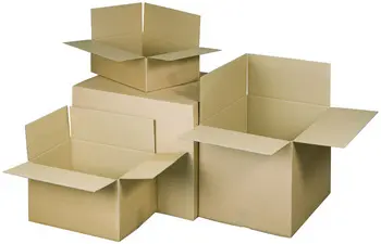 RAADHUIS Carton ondulé à plier, (L)305 x (P)220 x (H)250 mm