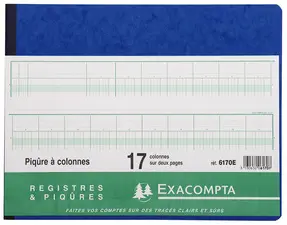 EXACOMPTA Piqûre à colonnes, 30 colonnes, 31 lignes