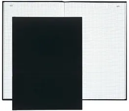 EXACOMPTA Registre quadrillé 5/5 folioté, 350 x 225 mm