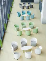 Miniature 5