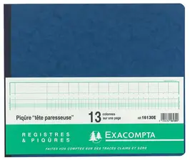 EXACOMPTA Piqûre tête paresseuse, 17 colonnes sur 2 pages,