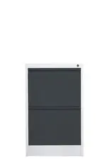 phoenix Armoire à dossiers FC1002GAK, 2 tiroirs, gris