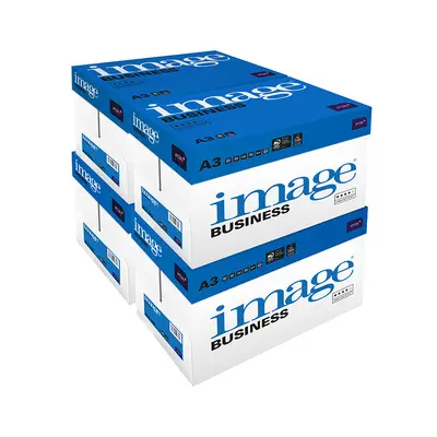 Papier Image Business Blanc A3 80 g/m²