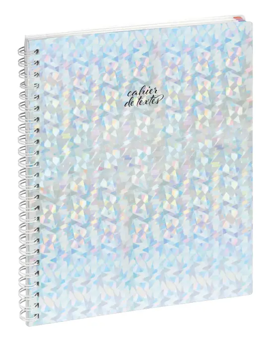 Cahier de textes Animaux Chat yeux bleus 17 x 22 cm - Visuels assortis