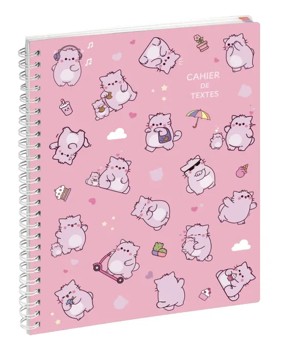 Cahier de textes Sports Foot 17 x 22 cm - Visuels assortis
