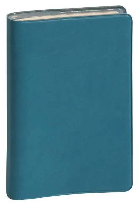 Agenda de poche Mini 11 - Semaine Winner 7,5 x 11,5 cm Semainier Janvier à Décembre 2027 - Couleurs assorties